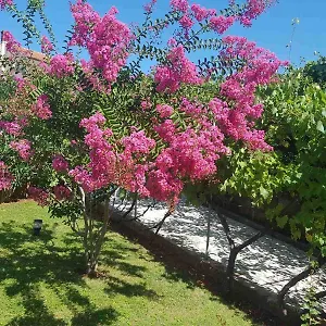 Mira Krk , Krk Town Croazia